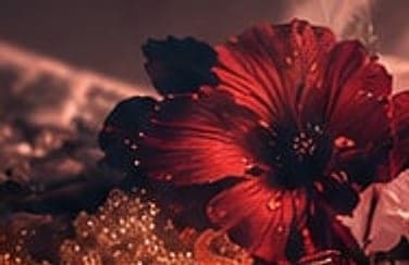 Cannes — Red carpet evenings, crimson blooms and warm amber.