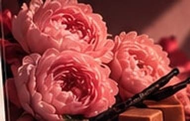 Verona — Romantic peony, rose and soft vanilla.